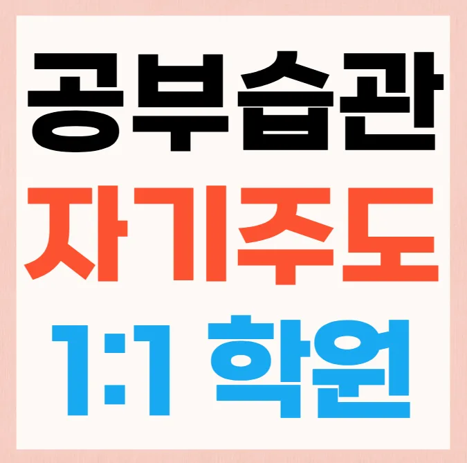 수지구청 와와센터